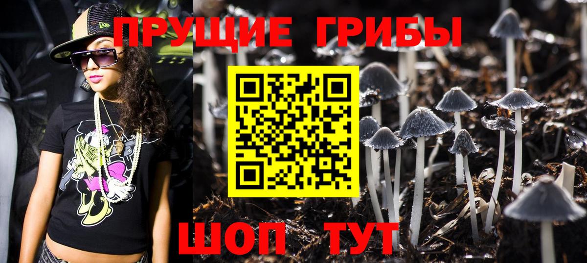 Псилоцибиновые грибы Psilocybe Ишим