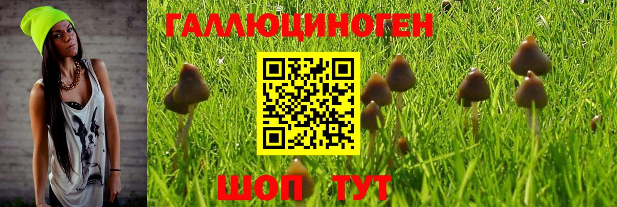 Псилоцибиновые грибы MAGIC MUSHROOMS  Вход с VPN  Ишим 